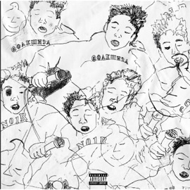 Vibrator N01R & @ФакШиза