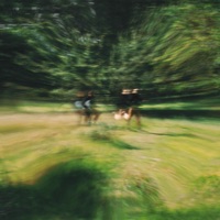 Swim Through The Window - Single - Pillows