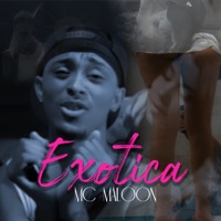 Exotica - Single - MC Maloon