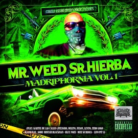 Bounce In Madrid (feat. Sode, Mistah Blackman, Raaso Rax) Mr. Weed Sr. Hierba