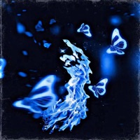 Shallows - Single - Aplxxy