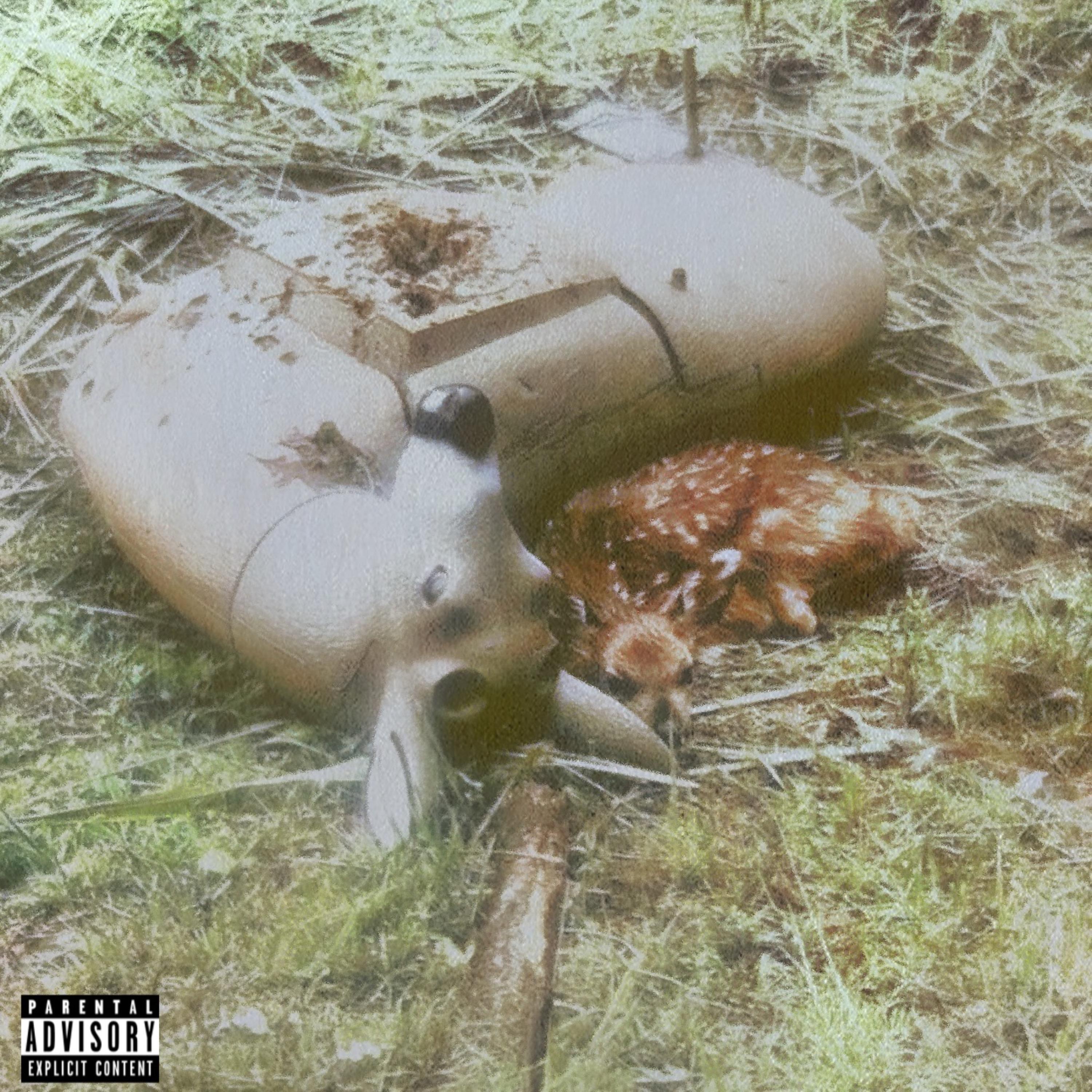 Shapeshifter - Single