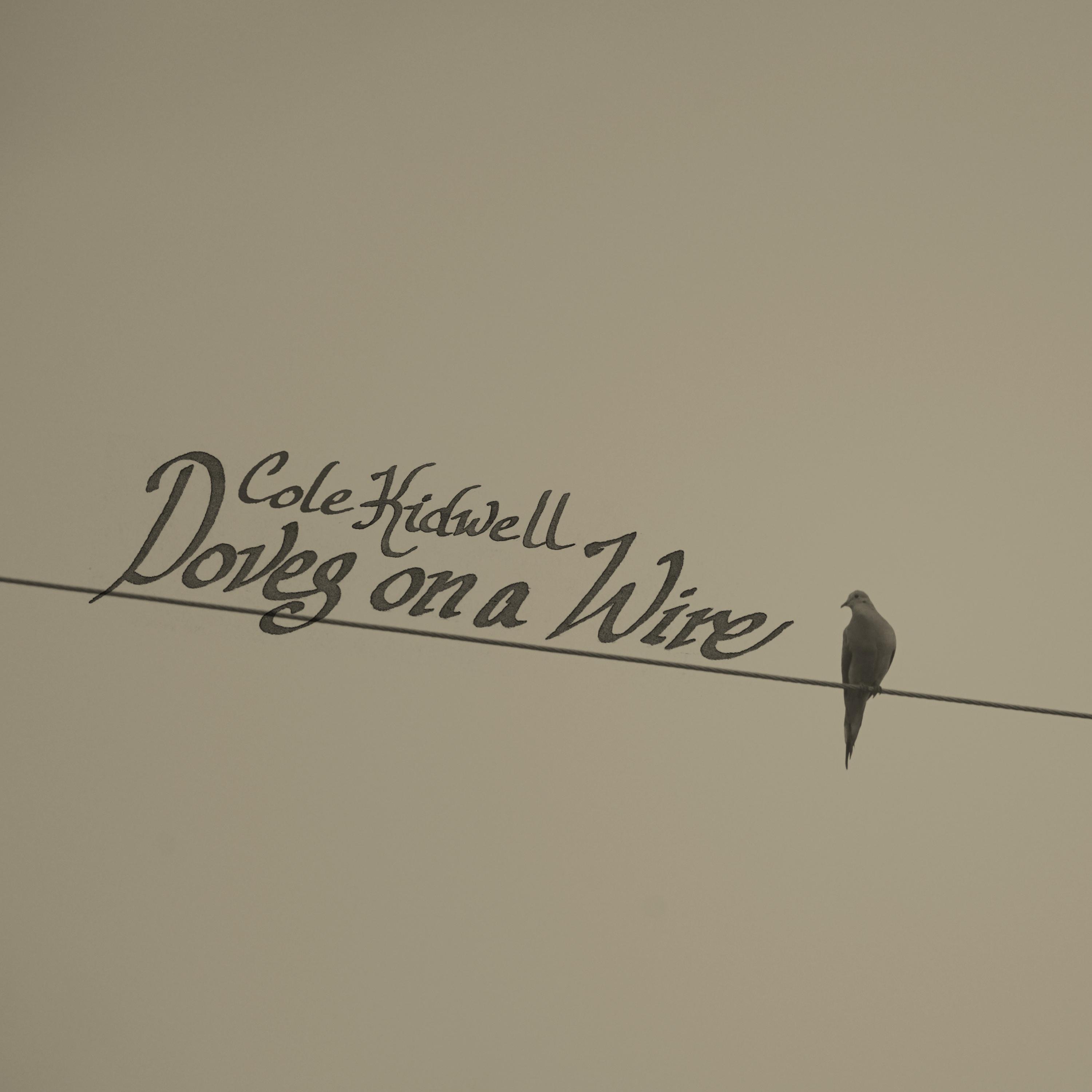 Doves on a Wire - Single