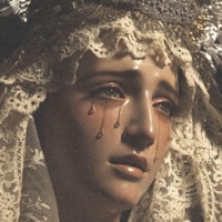 LÁGRIMAS (feat. Lil Willy 666) - Single - Lil Willy Shawty