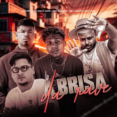 A Brisa da Rave (feat. MC Davi CPR) - Single