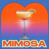 Darin - Mimosa bild