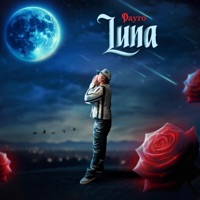 Luna - Single - Dayro