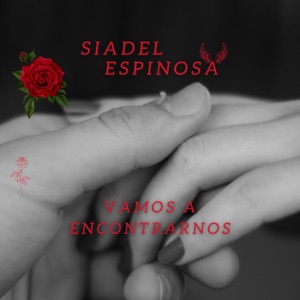 Vamos a Encontrarnos