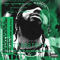 Bankroll Challenge (feat. Richie Bux) [Remix] - Single - OTW Kap