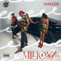 Million Dollar - Single - Wadude