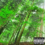 i (Backwoods) - Single