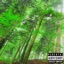 i (Backwoods) - Single