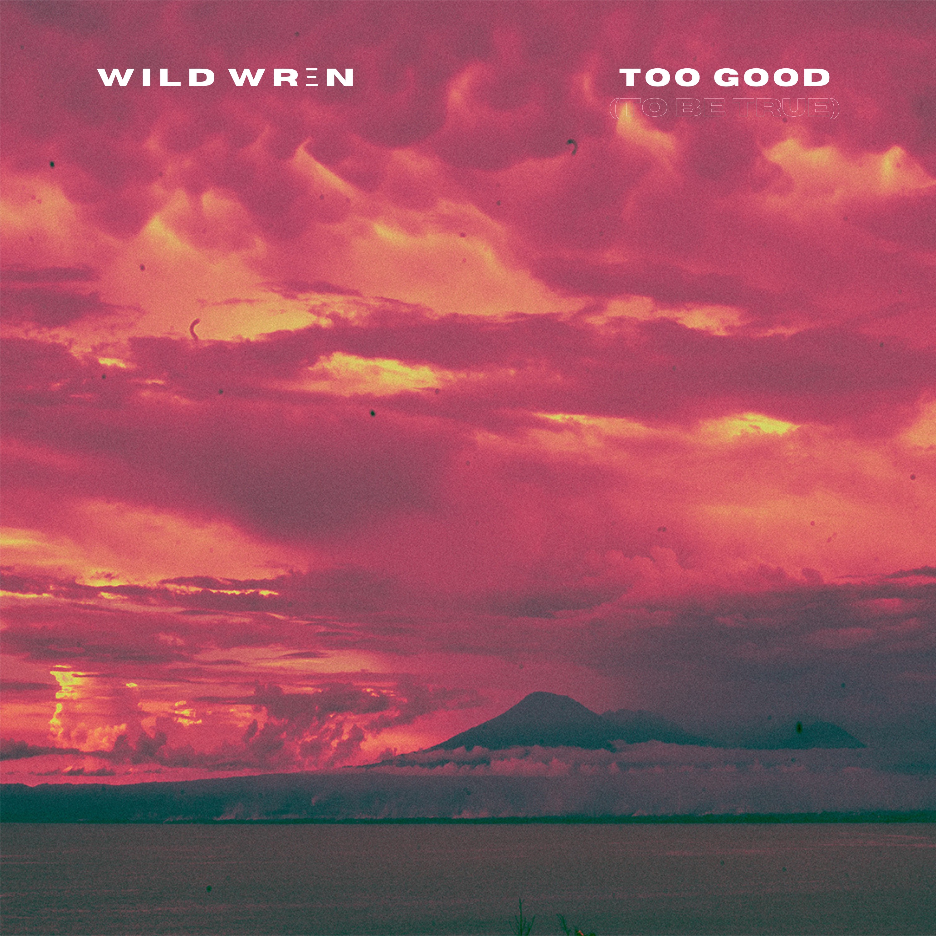 Too Good (To Be True) - Single