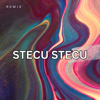 STECU STECU - Sarasvati Rich