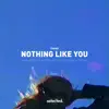 Nothing Like You