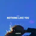 Nothing Like You