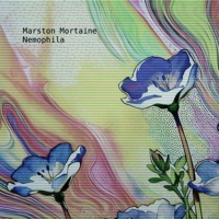Nemophila