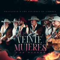 Veinte Mujeres De Negro - Single - Privilegio & Los Viejones De Linares