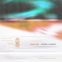 what u want! - Single - Rad Cat