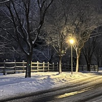 love is poison - Single - Jiangie