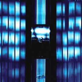 GOING UP Arizona Zervas