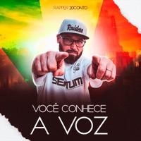 Você Conhece a Voz - Single - Rapper 20conto