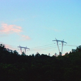 From The Treeline gl0wplatinum