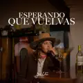 Esperando Que Vuelvas