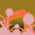 Capture/release