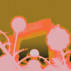 Capture / Release - Single