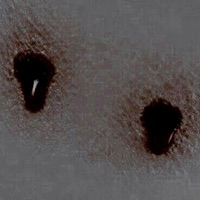 TU SANGRE - Single - Flamecooper