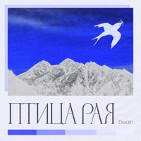 Птица Рая - Single - Dwain