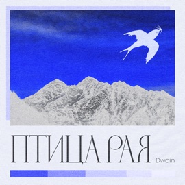 Птица Рая Dwain