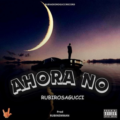 AHORA NO (feat. RubiNewman prod) - Single