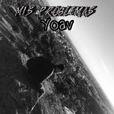 Mis problemas - Single