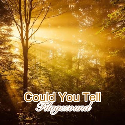 Filagezound - Could You Tell (Radio Edit)