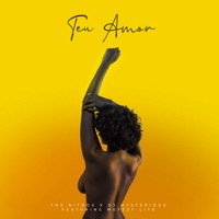 Teu Amor (feat. Meyzzy Liye) - Single - The Nitrox, Dim Dim & DJ Mysterious