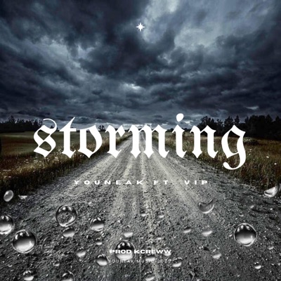 Storming (feat. V.I.P.) - Single