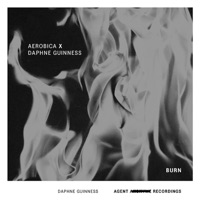 Burn (Aerobica Remix) - Single - Daphne Guinness & AEROBICA