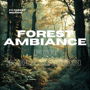 Forest Ambiance for Relaxation