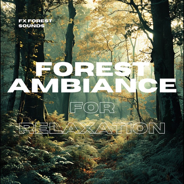 Forest Ambiance for Relaxation