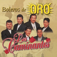 Vuela Paloma