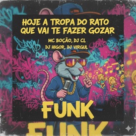 HOJE A TROPA DO RATO QUE VAI TE FAZER GOZAR DJ CL DA RATOLANDIA, Mc Bocão, DJ HIGOR & Dj Virgul