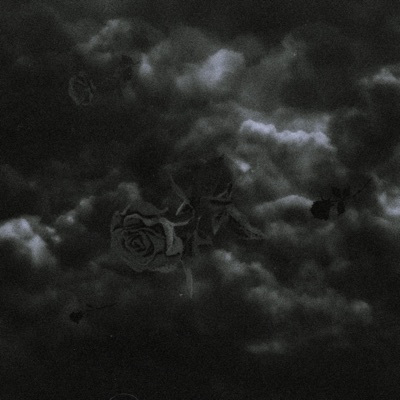 Voy A Olvidarte - Single