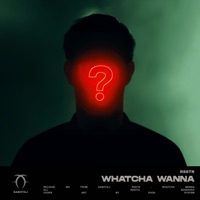 Whatcha Wanna - Single - rsstr