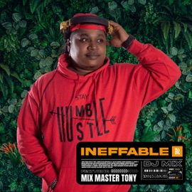 Tack Back (Mixed) Tano & Kes