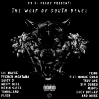 The Wolf of South Beach - DJ E-Feezy