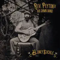Like A Treasure — The Reverend Peyton's Big Damn Band