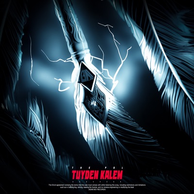 Tüyden Kalem - Single