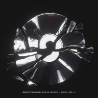 PAST, VOL. 1 - safetypleace & katya miltey
